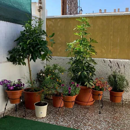 Duplex Salamanca *